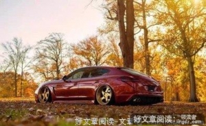 或许，真的只要七年