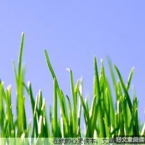 只要有心，平淡里也可以活出精彩