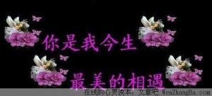 相思风雨中