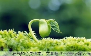 坚强地活着
