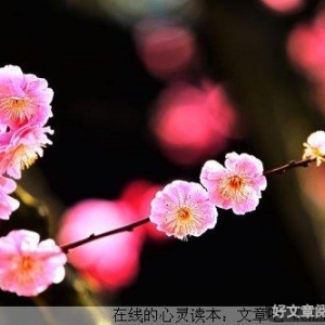 红尘路上，有你相随