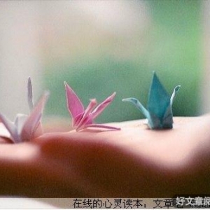 把你放在心上