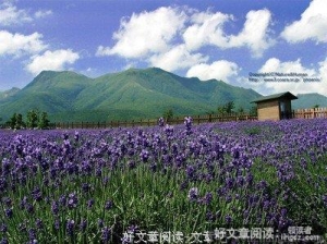 慢慢的，学会让风吹走一切