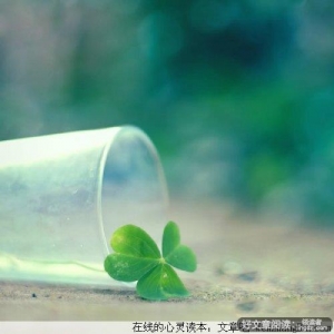 人生如茶 空杯以对