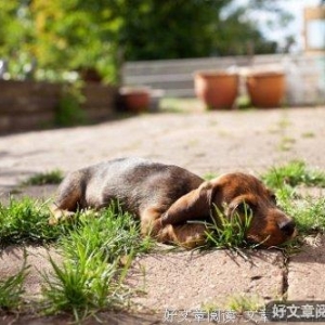 爱情谷