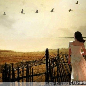 在任何人的记忆中，相遇总是那最美好的