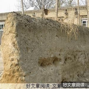 拇指上初恋的记忆