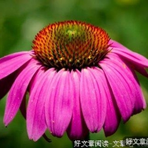 小谈公考