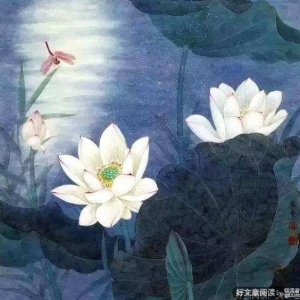 抱朴守拙，最稳健的进取之道