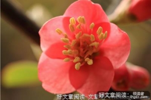 清晨随感