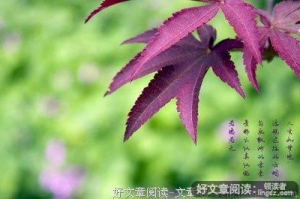 人生只如初见