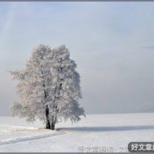 致母恩