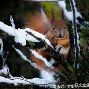 你永远不会知道我有多爱你