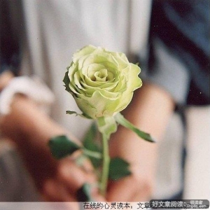 曾经爱你，爱了整整一个曾经