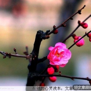 保持自我，活出精彩