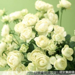 有你，我的生命写满阳光