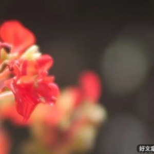 有个懂你的人，真好