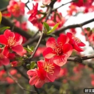 负重前行内心笃定，更能行稳致远