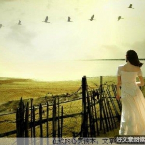 当我想你的时候