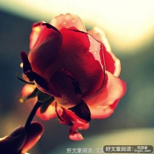 多少爱，输给了自卑