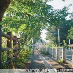 洪水的爱情