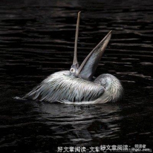 天上掉下馅饼