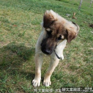 诗，在天上飘........