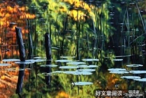 微寒正是可人天
