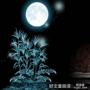 “狼”的十大处世哲学，值得每一个人学习！