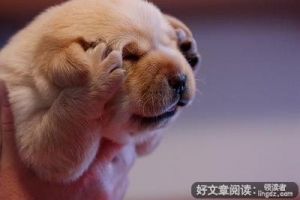 恋母情结的“妈乖宝”老公，半夜三更去了他母亲房间
