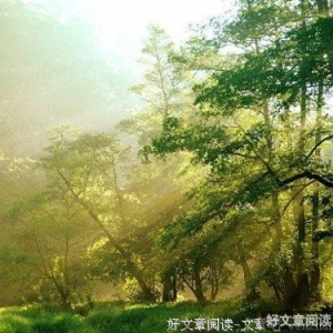 指缝中的初遇