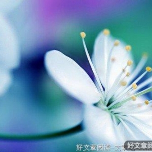 与挫折牵手