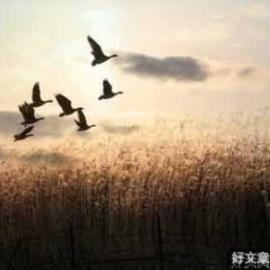 学会把自己归零