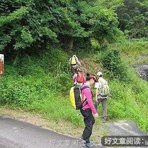 悼故友