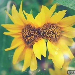 一个家到底谁最累？（说得太好了）