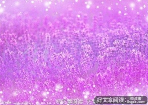 承诺还是谎言