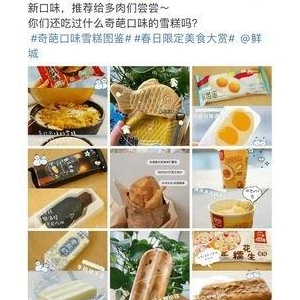 东北乱炖、大鱿鱼、臭豆腐味.....今年夏天不敢吃冰糕了！