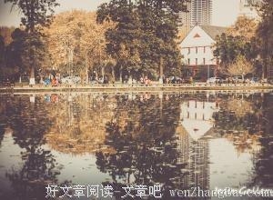 沁寒之夏