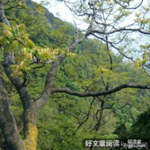 人孰能无过