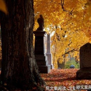 忆童年旧友