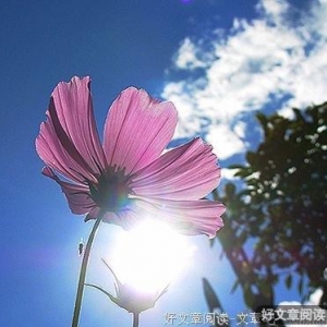 进退之间，人生百味
