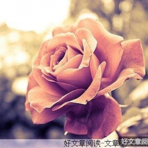 好好去爱，不要逃