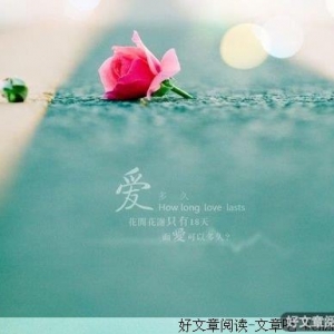 因为爱，所以输