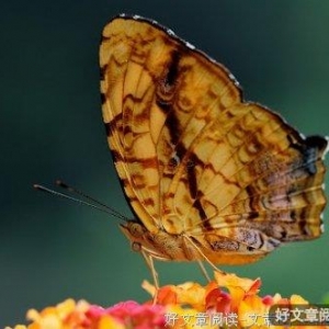 你离开时我哭了，放手时我懂了