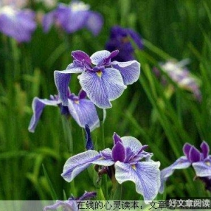 你知道什么才是爱吗