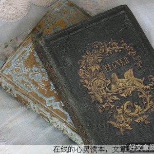 原来爱情也是一种宿命