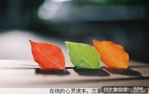 亲爱的，我们的爱情怎么了