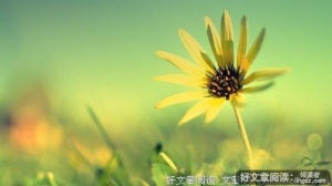 简单的心境，才能拥有快乐的心情