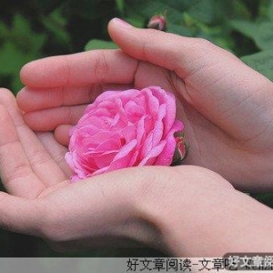 爸爸妈妈的爱情