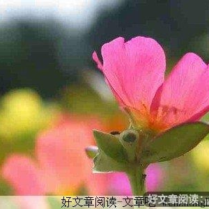 不想忘记，只因有你